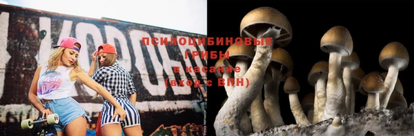 альфа пвп Елизово
