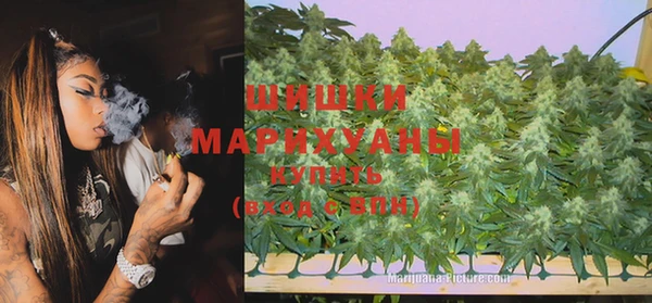 МДПВ Елабуга